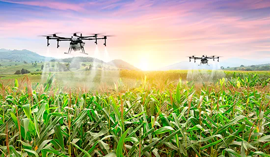Drones agrícolas regando cultivos en un atardecer